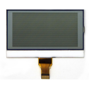 COG LCD